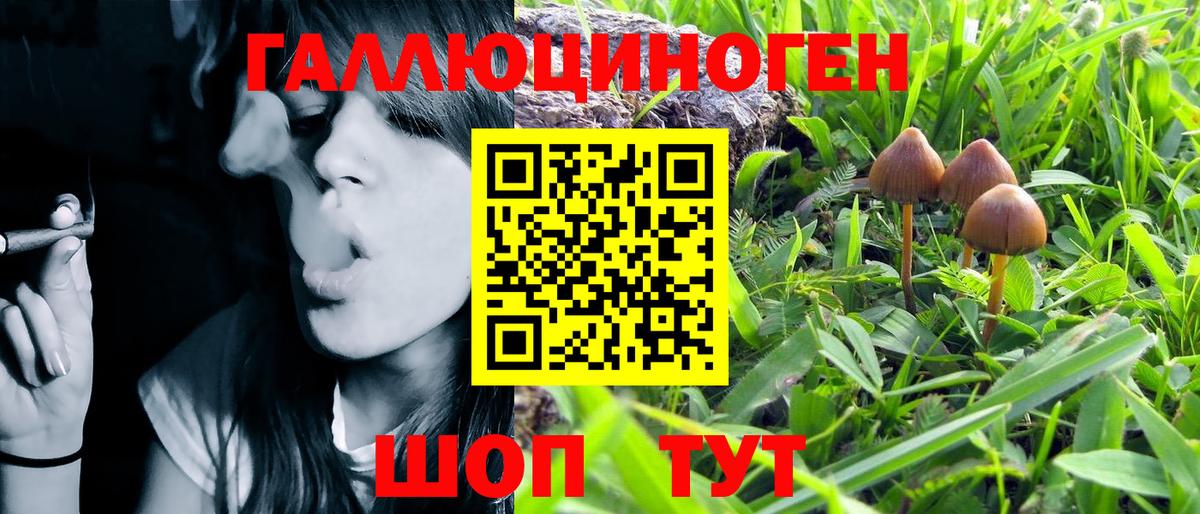 Новодвинск  Галлюциногенные грибы Psilocybe  купить наркоту  Вход с VPN 