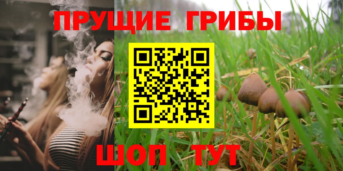 Галлюциногенные грибы MAGIC MUSHROOMS Новодвинск